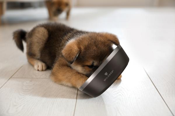Tiernapf - Napf für Futter oder Wasser - Ideal für Hund und Katze – Bild 2