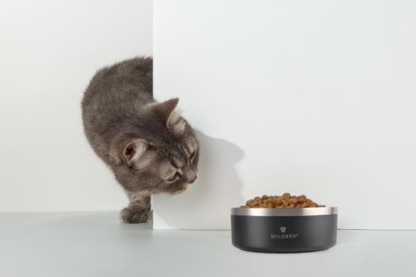Tiernapf - Napf für Futter oder Wasser - Ideal für Hund und Katze – Bild 3