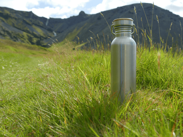 Grünes Island WILDBÄR® Trinkflasche