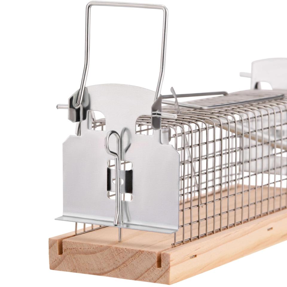 Mausefalle 2er Set Lebendfalle Mauseabwehr Köderfalle Wippfalle Nagerschutz 152579354770 - Foto 5